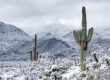 How Cold Does Arizona Get In The Winter