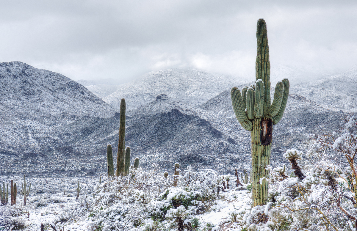 How Cold Does Arizona Get In The Winter