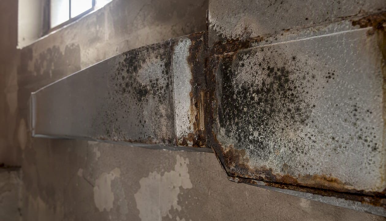 Rust and mold on metal duct close-up