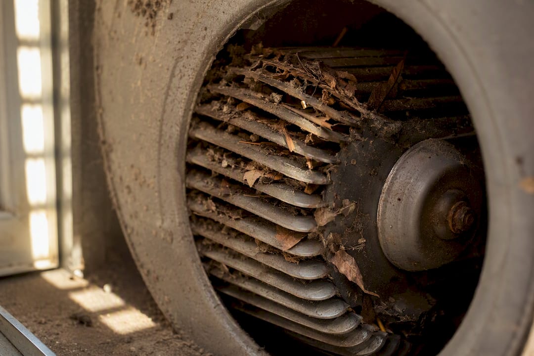 Leaves and dust caught in blower wheel