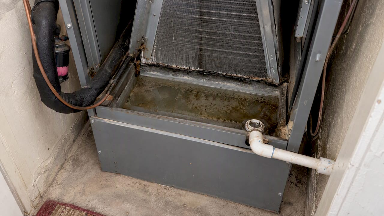 Standing water in an HVAC condensate pan
